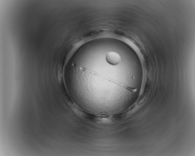 X0000115820285200911201451