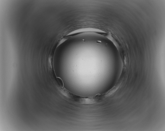 X0000115820286200911201451