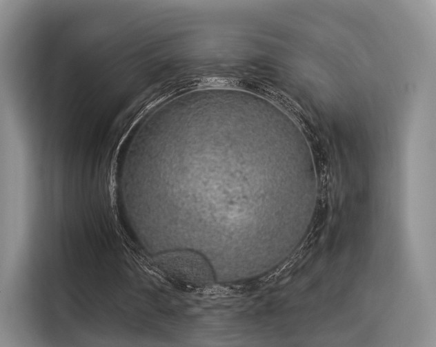 X0000115820290200911201451