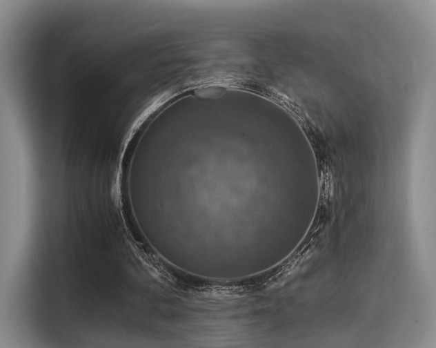 X0000115820292200911201451