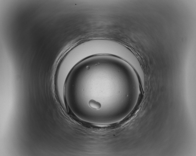 X0000115820293200911201451