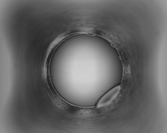 X0000115820294200911201451