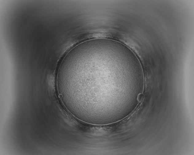 X0000115820297200911201451