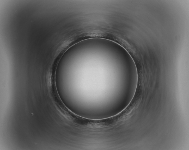 X0000115820299200911201451