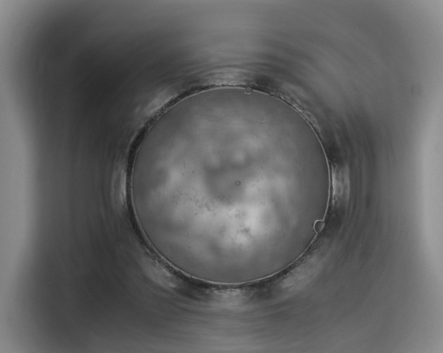 X0000115820301200911201450