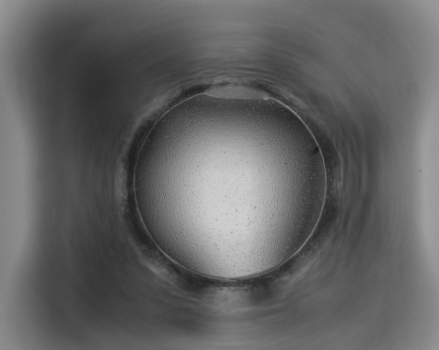 X0000115820303200911201450