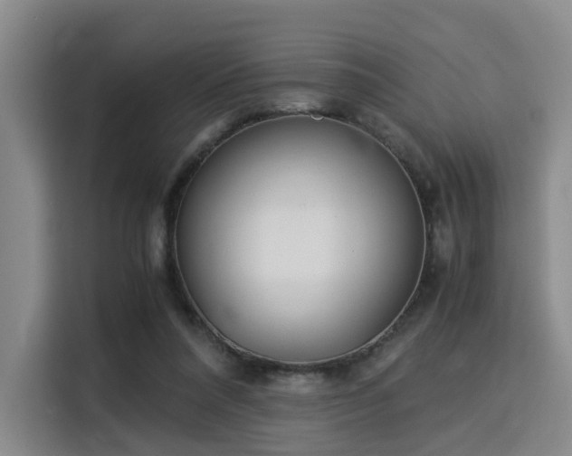 X0000115820304200911201450