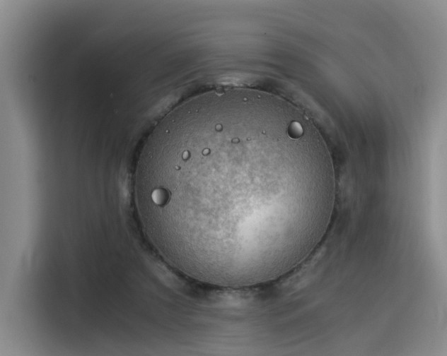 X0000115820305200911201450