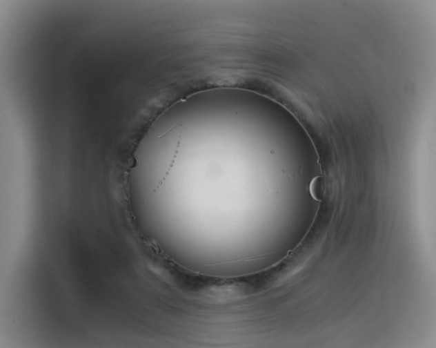 X0000115820307200911201450