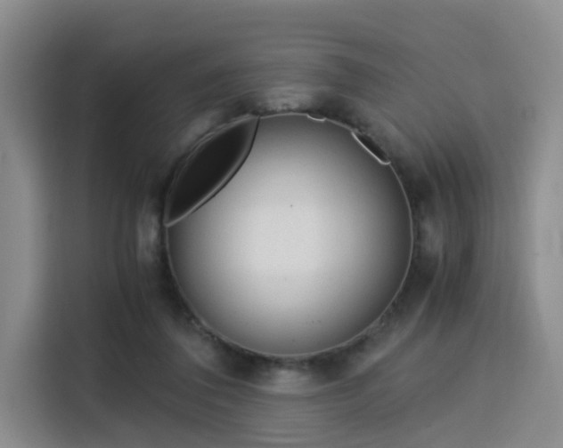 X0000115820308200911201450