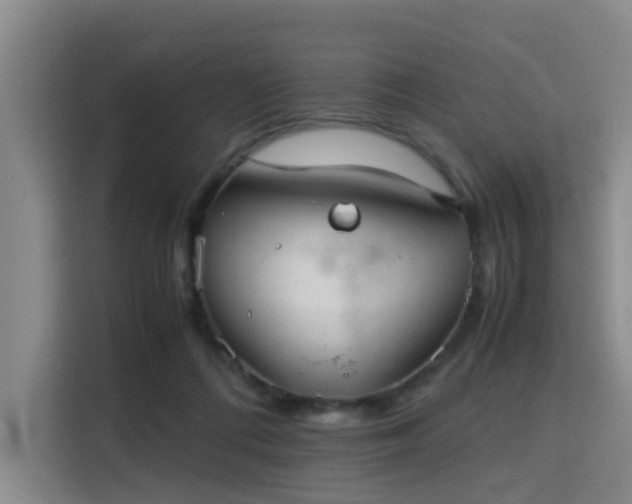 X0000115820312200911201450