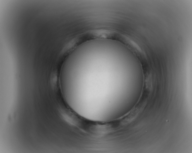 X0000115820314200911201450