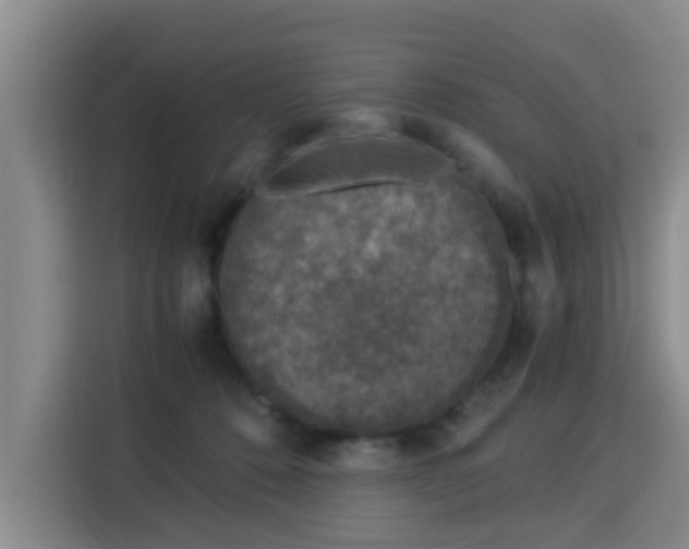 X0000115820320200911201450