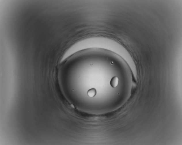 X0000115820323200911201450