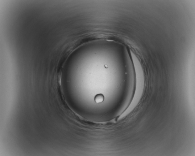 X0000115820325200911201450