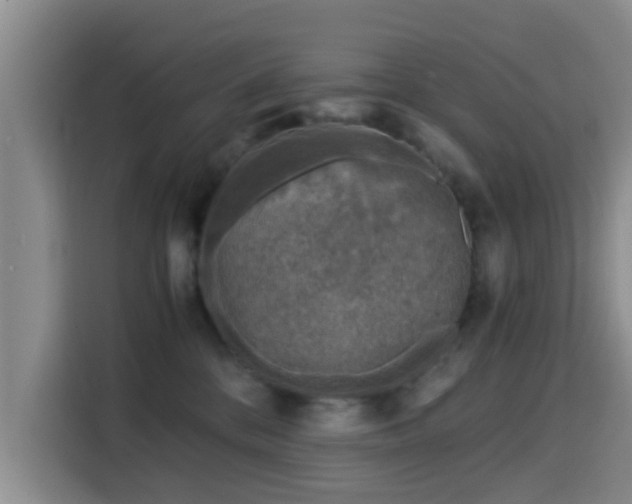 X0000115820328200911201450