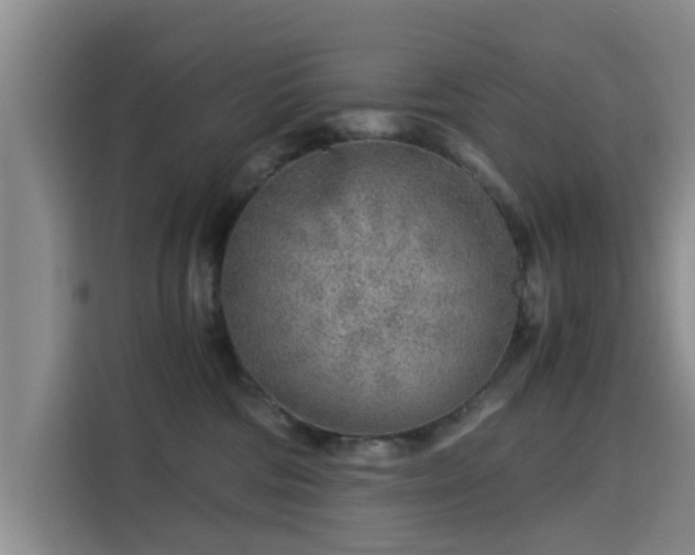 X0000115820330200911201450