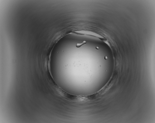 X0000115820333200911201450