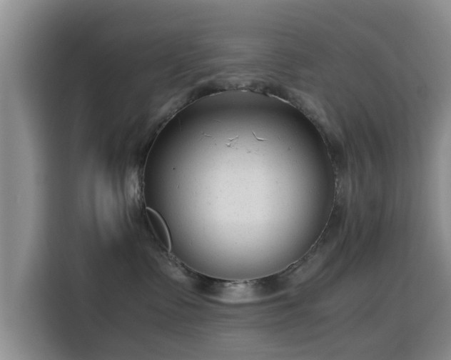 X0000115820335200911201450