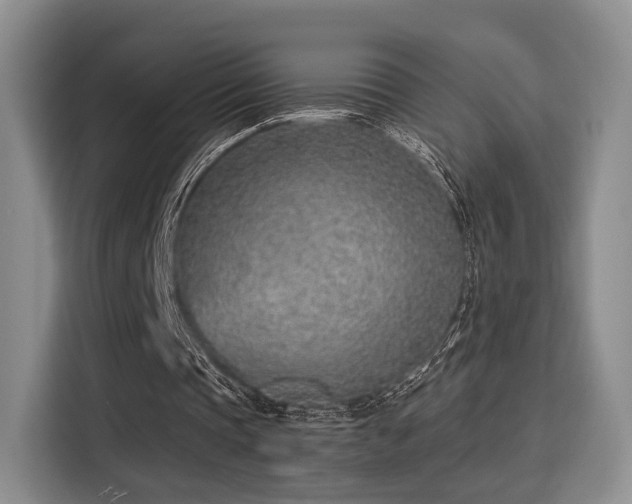 X0000115820337200911201449