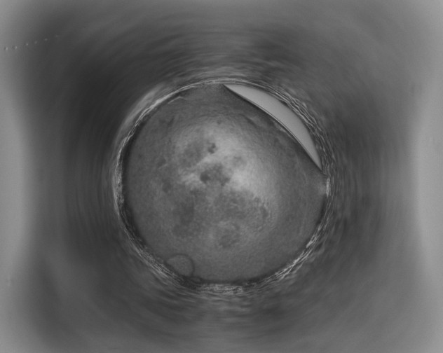 X0000115820339200911201449