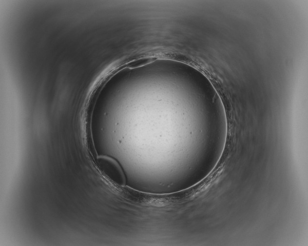 X0000115820341200911201449