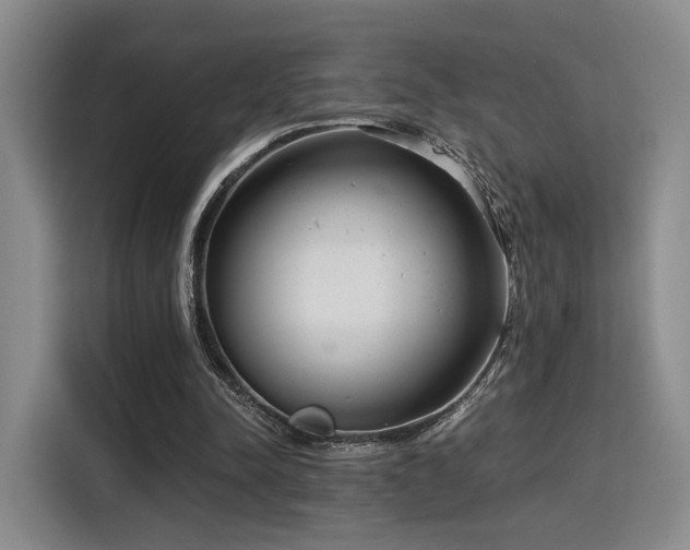 X0000115820342200911201449