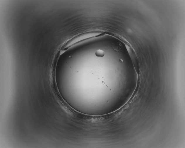 X0000115820345200911201449