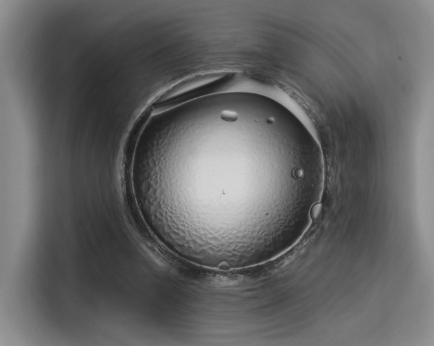 X0000115820346200911201449