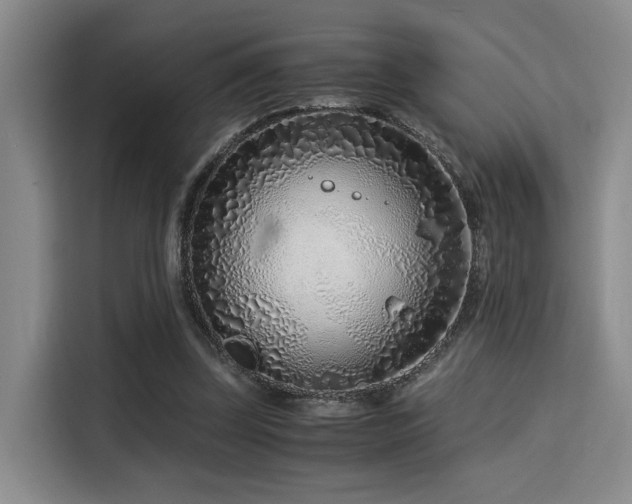 X0000115820347200911201449