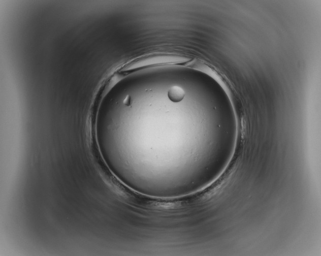 X0000115820349200911201449