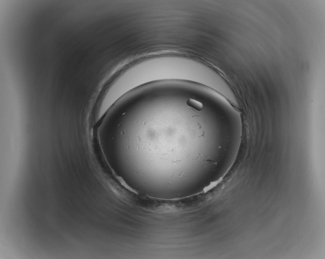 X0000115820350200911201449