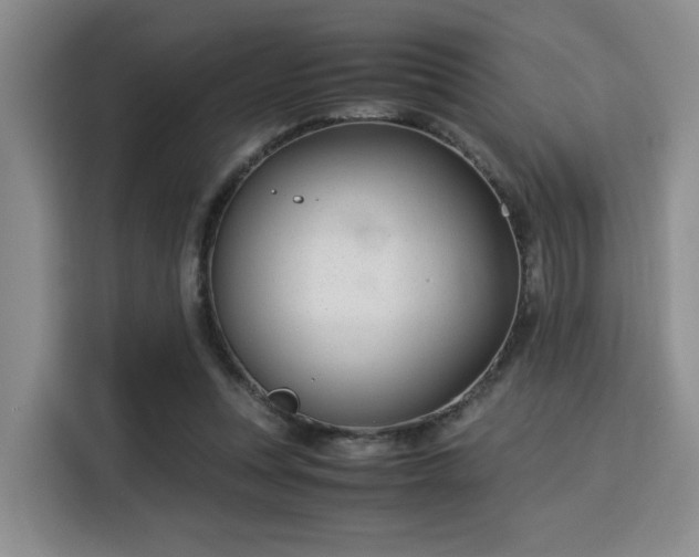 X0000115820351200911201449