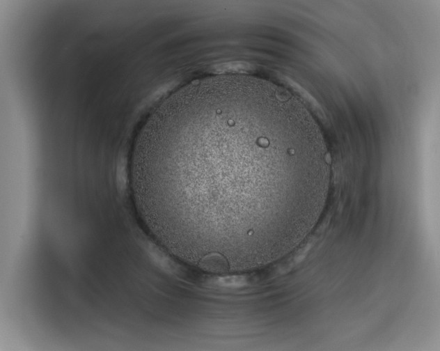 X0000115820353200911201449