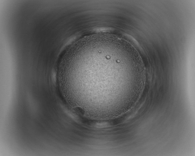 X0000115820357200911201449