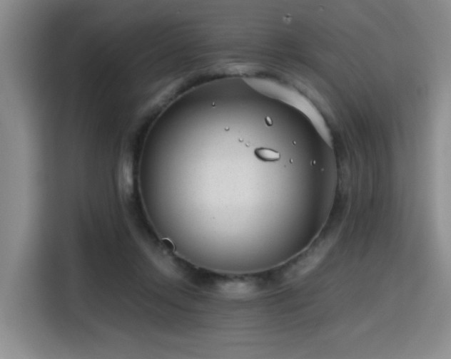 X0000115820358200911201449