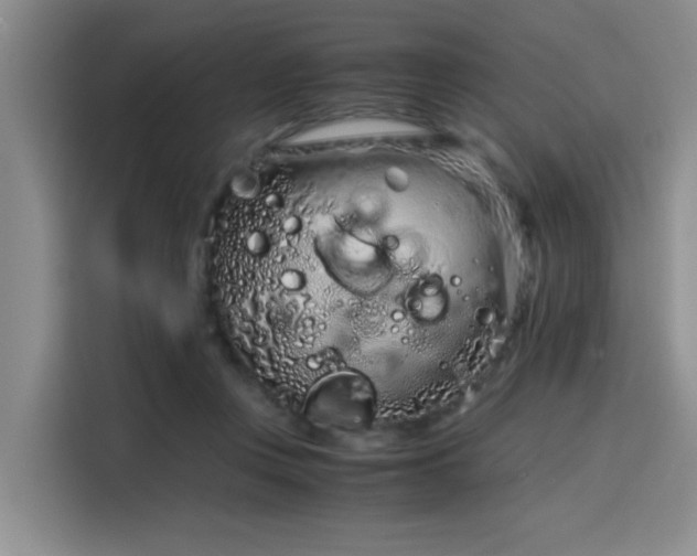 X0000115820359200911201449