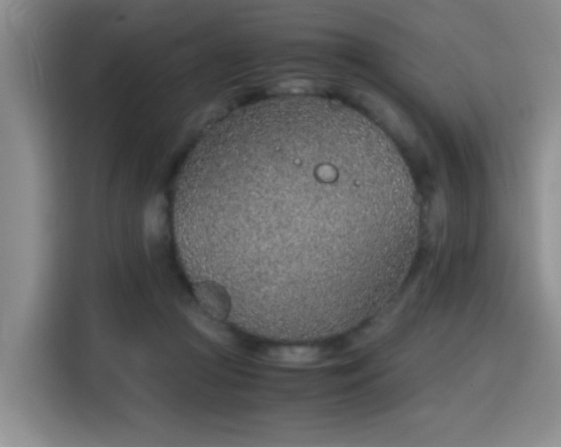 X0000115820361200911201449