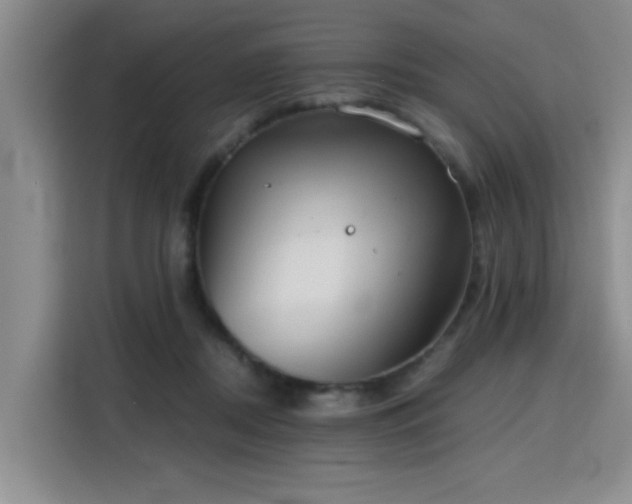 X0000115820362200911201450