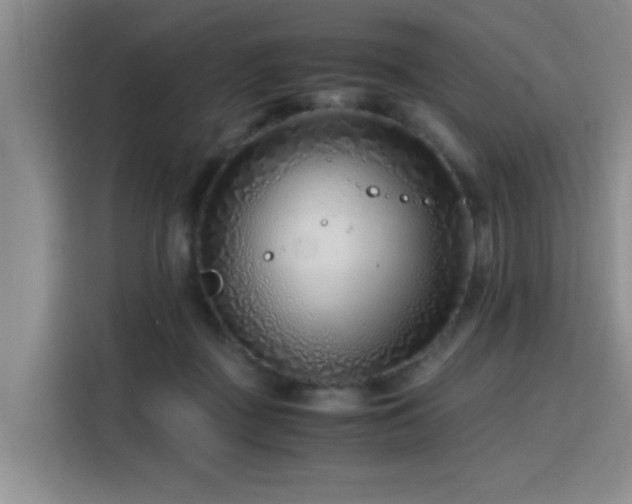 X0000115820363200911201450