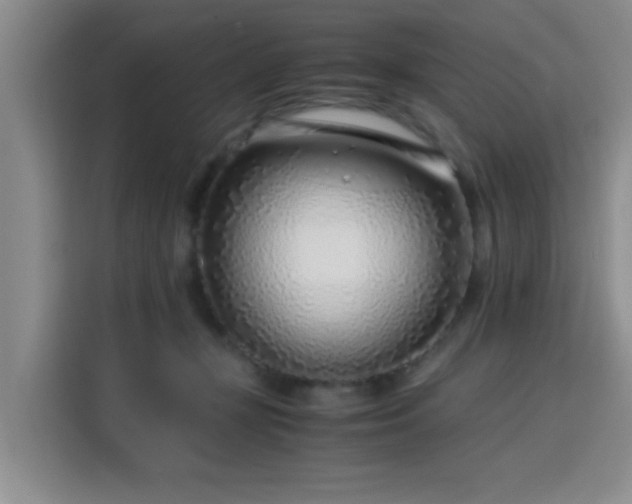 X0000115820367200911201450