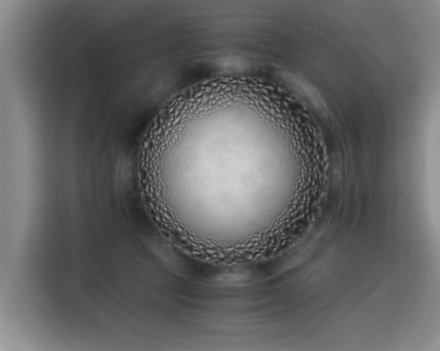 X0000115820369200911201450