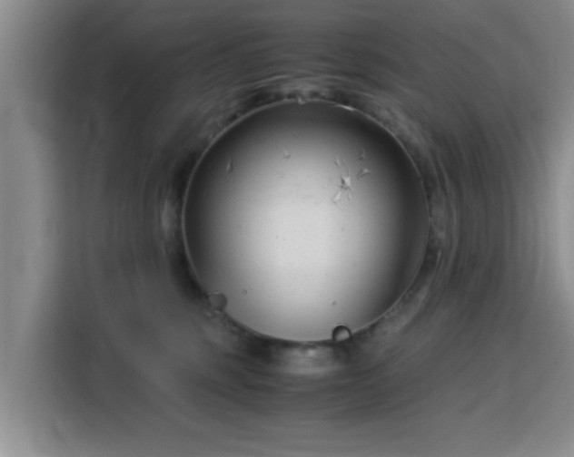 X0000115820375200911201450