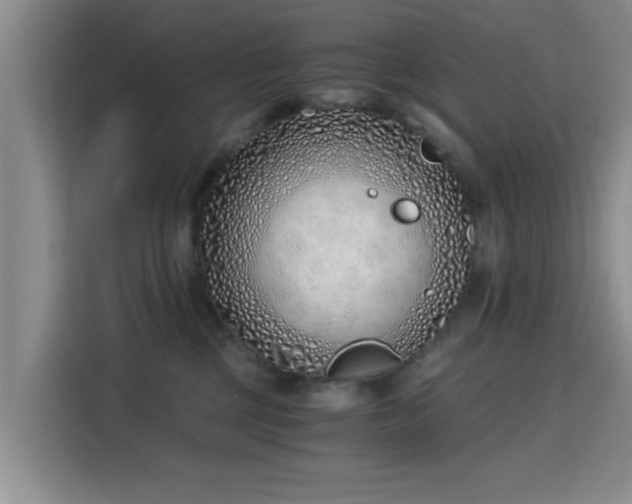 X0000115820377200911201450