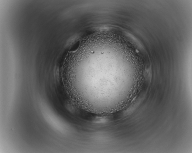 X0000115820381200911201450