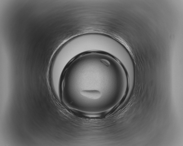 X0000115820387200911201449