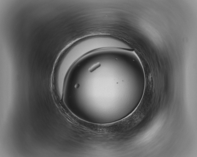 X0000115820388200911201449