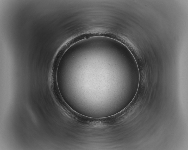 X0000115820392200911201449