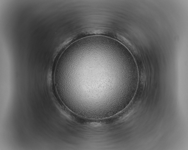 X0000115820394200911201449