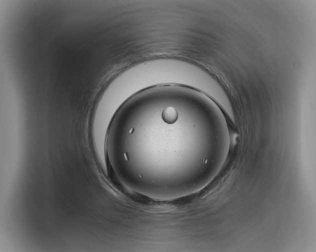 X0000115820397200911201449